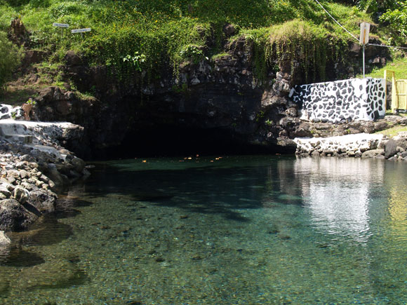 SAMOA(UPOLU PIULA CAVE POOL4