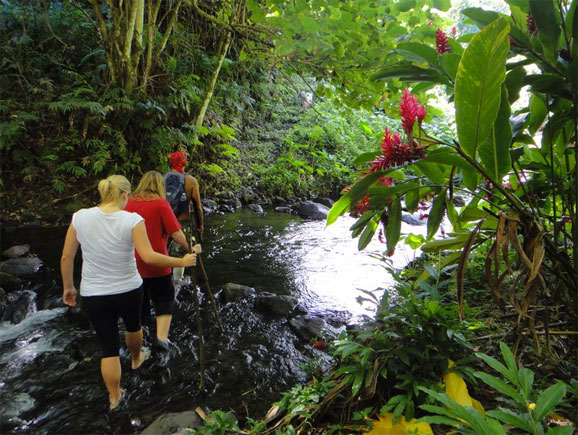 SAMOA(UPOLU RIVER WALK2