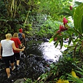 SAMOA(UPOLU RIVER WALK2