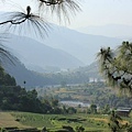 BHUTANTOURISM(PUNAKHA13