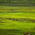 BHUTANTOURISM(PHOBJIKHA VALLEY2