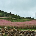 BHUTANTOURISM(BUMTHANG4