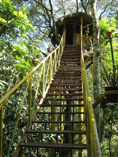 Thekkady(Tree House.jpg