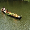 Kerala Tourism28.jpg