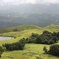 Munnar Tourism13.jpg