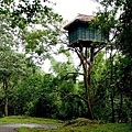 Kerala Tourism(Thekkady3.jpg