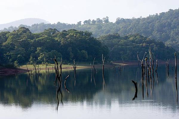 Kerala Tourism(Thekkady2.jpg