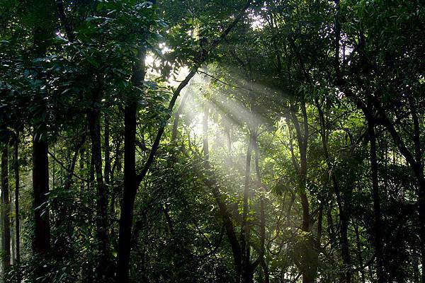 Kerala Tourism(Idukki2.jpg