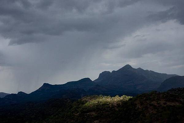 Munnar Tourism9.jpg