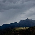 Munnar Tourism9.jpg