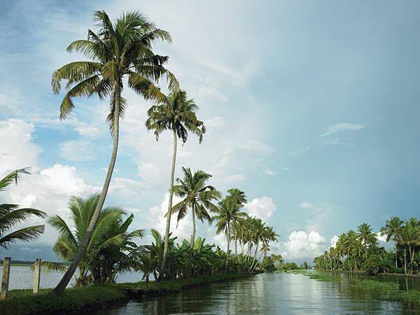 Kerala Tourism(Alleppey backwater2.jpg