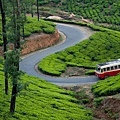 Munnar Tourism3.jpg