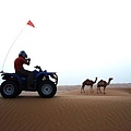 OMAN(DESERT NIGHT CAMP)2.jpg