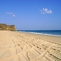 MUSCAT(SIFAH BEACH.jpg