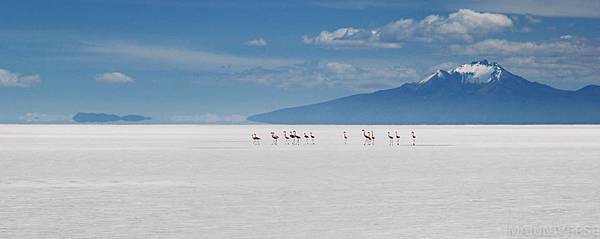 Salar de Uyuni(Bolivia)32.jpg