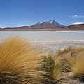 Salar de Uyuni(Bolivia)3.jpg