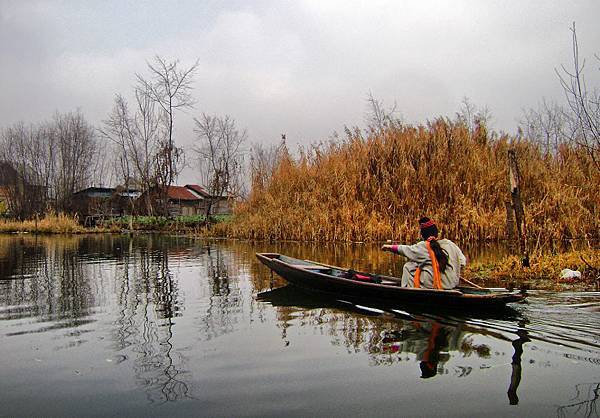 Kashmir(Dal Lake Sukoon Houseboat)4.jpg