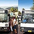 COOK ISLANDS(IMAGE)BUS.jpg