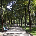 Bishkek7(PARK.jpg