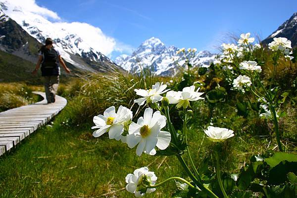 Hooker Track Mt Cook庫克山胡克谷步道.jpg