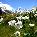 Hooker Track Mt Cook庫克山胡克谷步道.jpg