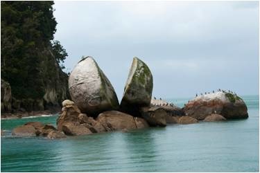 abel tasman np(Split Apple.jpg