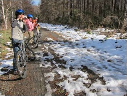 HAMER FOREST TRACK(WINTER BIKE.jpg