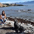 KAIKOURA(SEAL&BEACH2.jpg