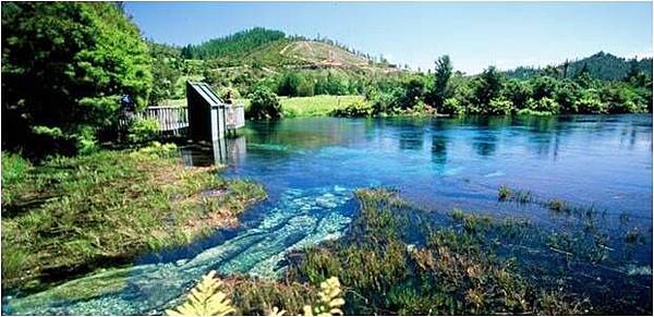 Takaka Springs(1.jpg