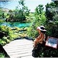 Takaka Springs(2.jpg