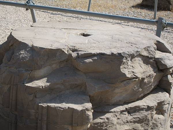 YZD.SHR.THR (299).JPG