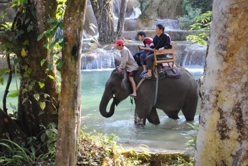 Tad Sae Falls(elephant ride.jpg