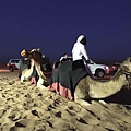 CAMEL RIDE(DESERT DAFARI.jpg