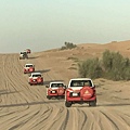 DESERT SAFARI (10).jpg