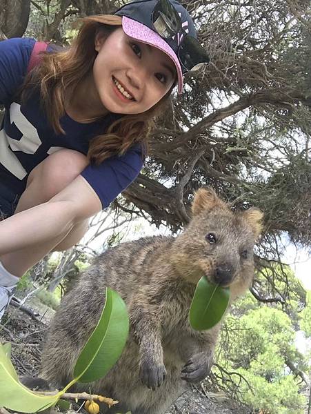 SMILE QUOKKA(1.jpg