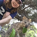 SMILE QUOKKA(1.jpg