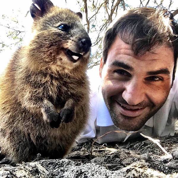 Quokka(費達拿 Roger Federer,tennis.jpg