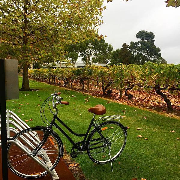 Sandalford Wines(Swan Valley4