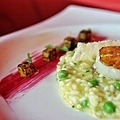 Dusit Thani(AUH, D’ CAPITAL STEAKHOUSEGolden butternut squash risotto, seared scallop and garden peas.jpg