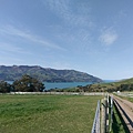 SHAMARRA ALPACAS FARM (17).jpg