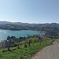 SCENIC NATURE TOUR(AKAROA (50).jpg