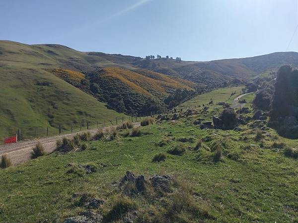 SCENIC NATURE TOUR(AKAROA (14).jpg