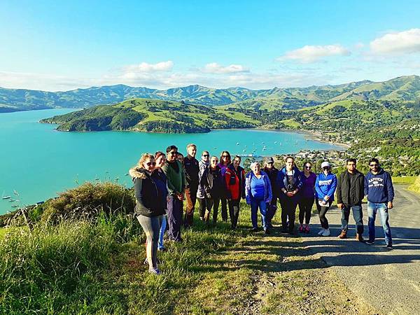 POHATU PENGUINS(AKAROA11.jpg