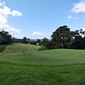 Hall1 Green(Titirangi.jpg