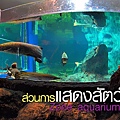 AQUARIUM(NANG KHAI,9.jpg