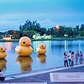 Nong Prajak Public Park(UDON THANI,黃色小鴨池.jpg