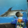 AQUARIUM(NANG KHAI,4.jpg