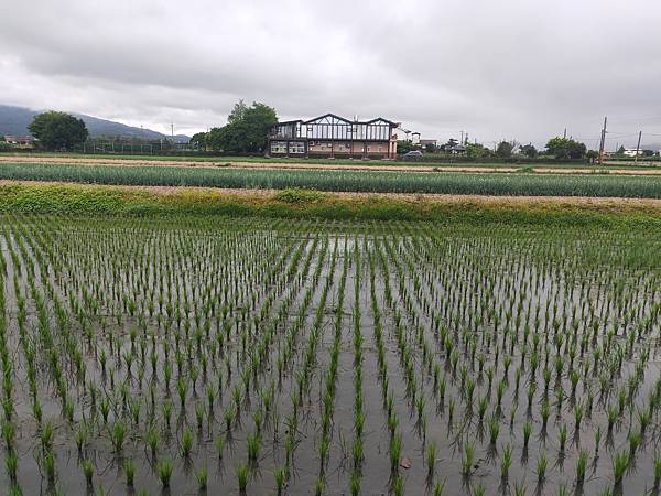 茺寶包(餅體驗 (2).jpg