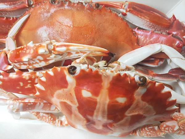 龜吼漁市場 (4).jpg