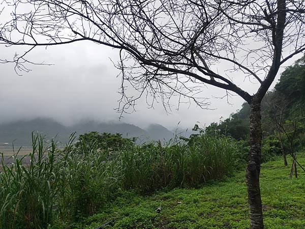 路邊麵湯及賣青菜 (2).jpg